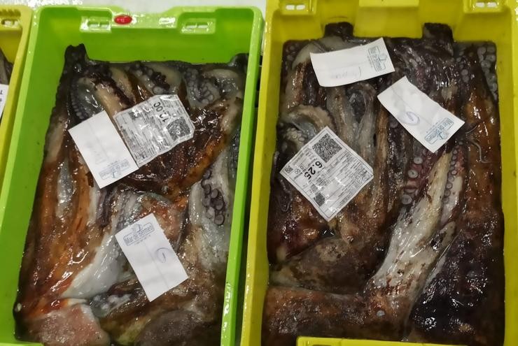 Polbos descargados na lonxa da Coruña 