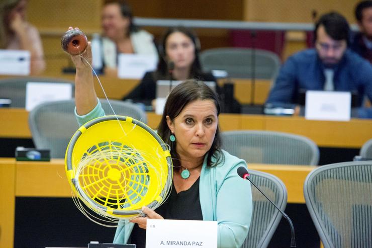 A eurodeputada do BNG Ana Miranda. DELMI ÁLVAREZ / Europa Press