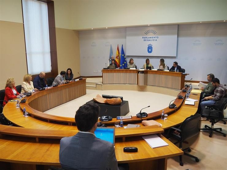 Comisión 1ª Institucional, de Administración Xeral, Xustiza e Interior do Parlamento de Galicia. PARLAMENTO DE GALICIA 