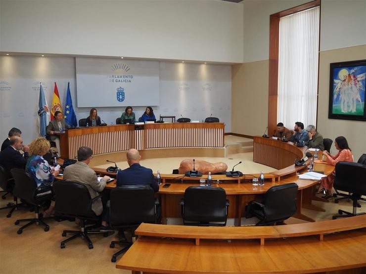 Reunión da Comisión 4ª de Educación e Cultura. PARLAMENTO DE GALICIA 