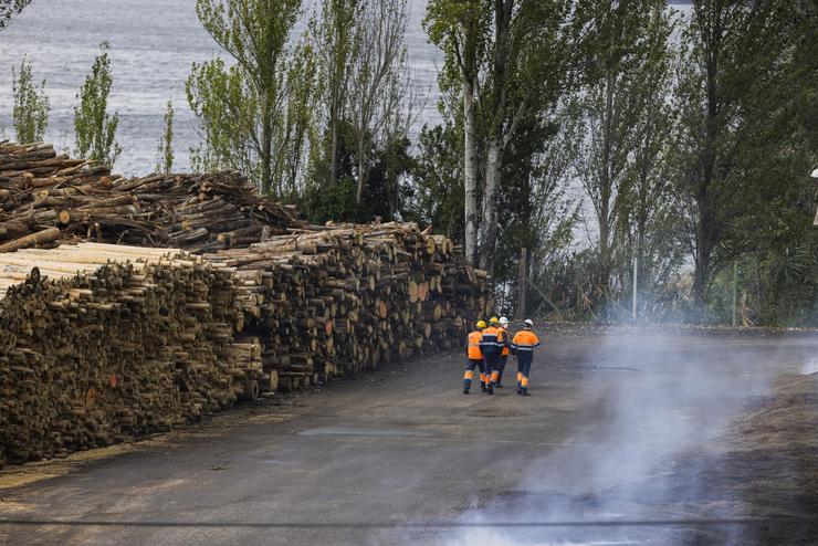 Un grupo de vixiantes camiña pola antiga fábrica de Pontesa incendiada e onde o Grupo Nogar almacenaba gran / Beatriz Ciscar - Europa Press