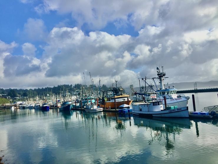 O peirao de Newport en Yaquina Bay