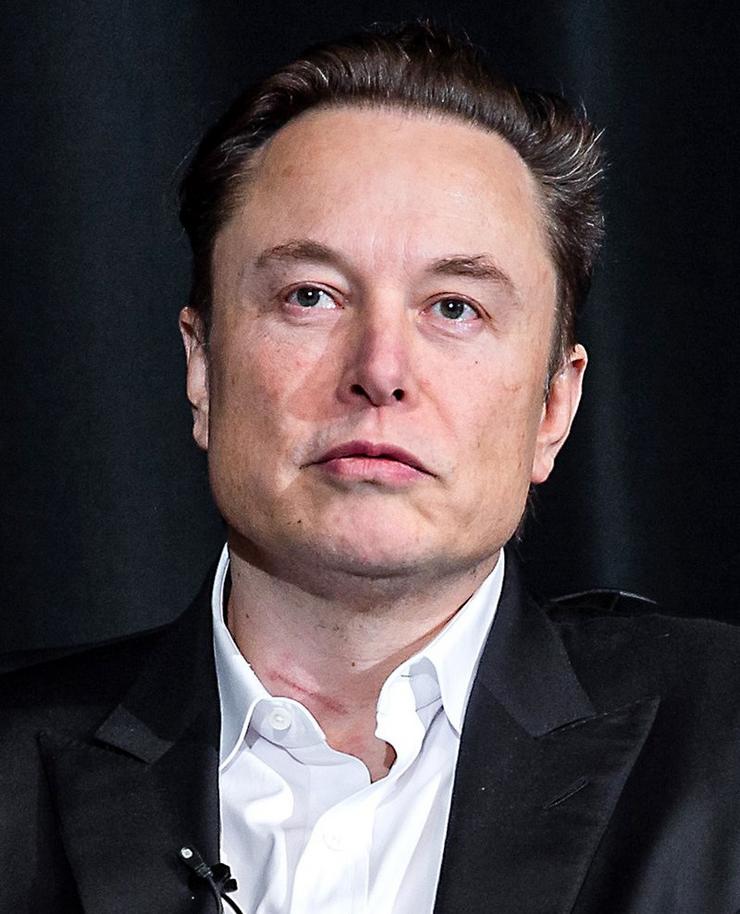 Elon Musk/Wikipedia