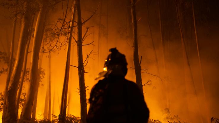 Un bombeiro traballa nun incendio na comarca de Salnés e o concello de Villagarcía de Arous / Gustavo da Paz - Europa Press 