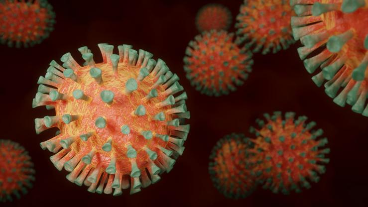 Investigacións co virus da covid-19, da gripe, do herpes simple e con adenovirus.. CSIC - Arquivo / Europa Press