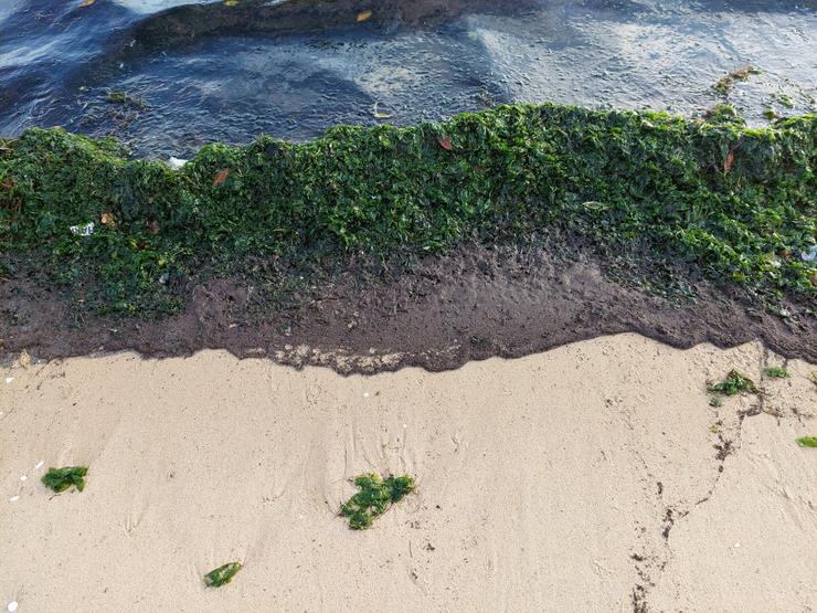 Manchas fuel na praia Areos, Pobra do Caramiñal