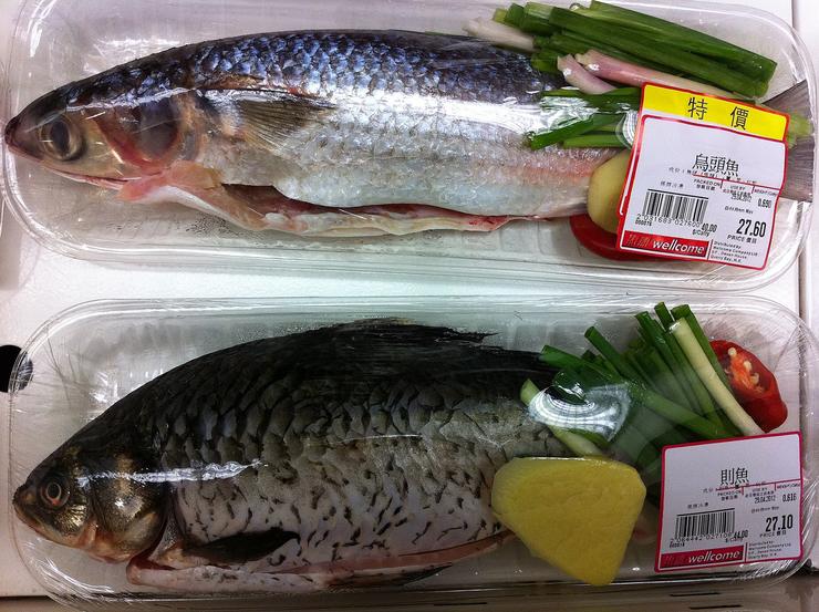 Peixe envasado con produtos plásticos 