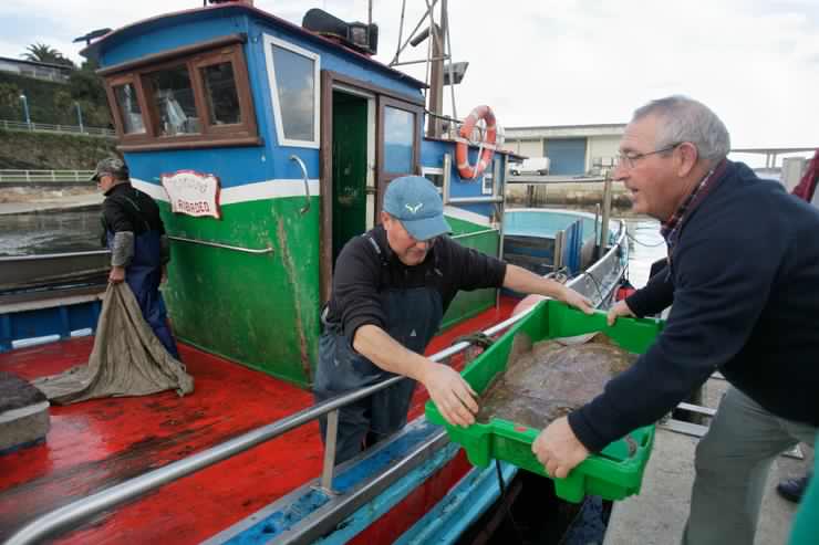 Pescadores descargan o seu barco no porto de Ribadeo 