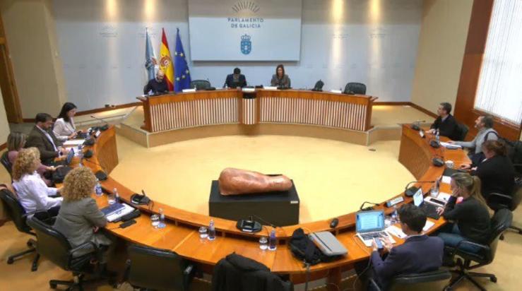 Comisión Institucional do Parlamento galego. PARLAMENTO / Europa Press