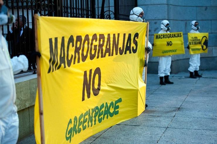 Arquivo - Case unha vintena de activistas de Greenpeace instalaron hoxe na porta do MITECO unha vaca e un porco duns 4 metros de altura para denunciar o insustentable impacto ambiental da ganader?a industrial na calidade das augas.. MARIO GOMEZ - Arquivo / Europa Press