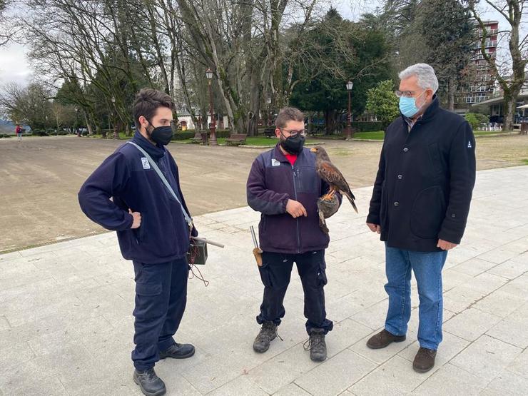 Medio Ambiente traballa no control de estorniños en Lugo.