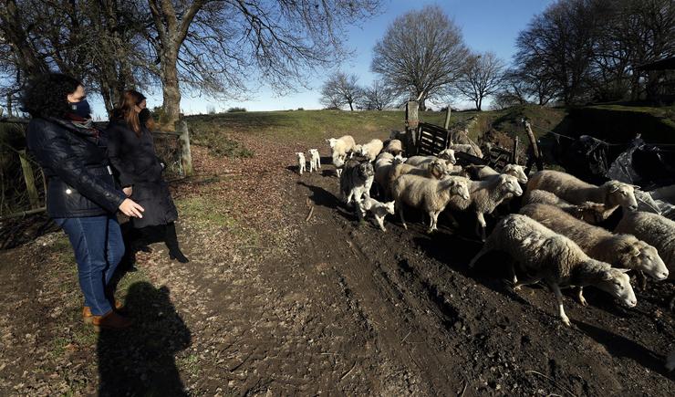 A directora xeral de Patrimonio Natural, Belén do Campo, visita unha explotación en San Salvador de Castelo- Grazos,Guntín,  para coñecer as medidas de prevención instaladas para evitar danos de fauna silvestre. XUNTA / Europa Press