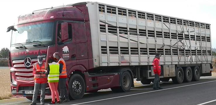 Policía Foral inspecciona un vehículo de transporte animal na estrada N-113 