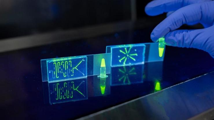 Imaxe dun chip en fluorescencia / USC - Arquivo