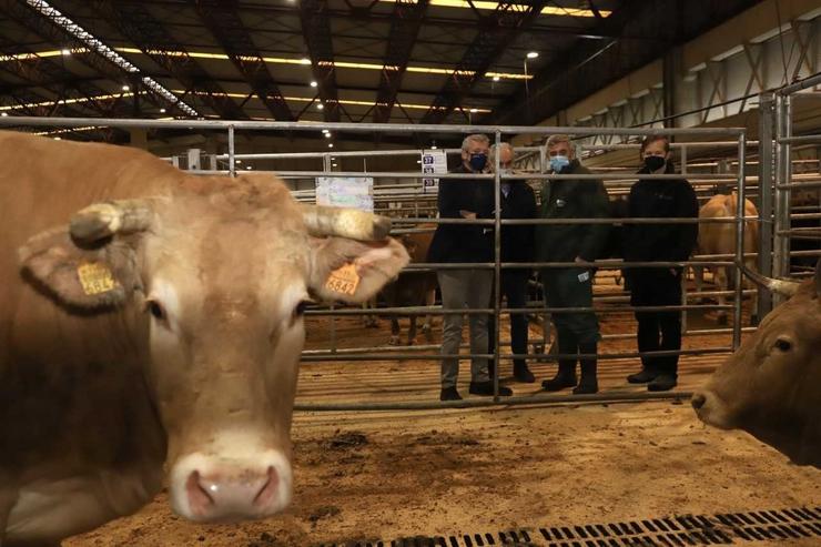 O vicepresidente primeiro da Xunta, Alfonso Rueda, nunha visita este martes á Central Agropecuaria de Galicia Abanca /  XUNTA