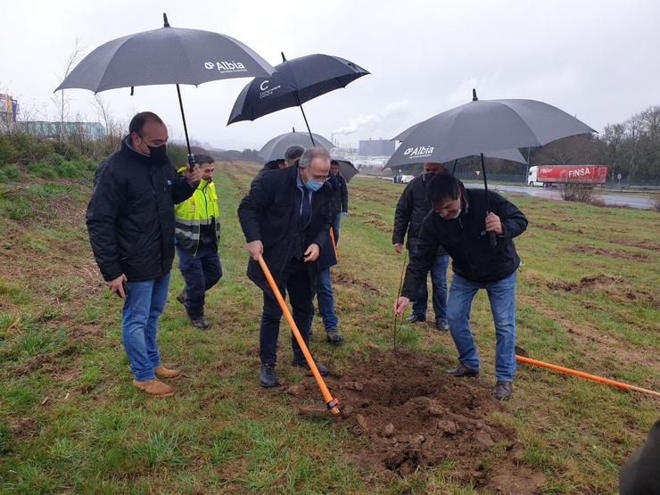 O alcalde de Santiago, Xosé Sánchez Bugallo, plantando un carballo na plantación organizada polo Grupo Albia no polígono de Tambre.. CONCELLO DE SANTIAGO DE COMPOSTELA