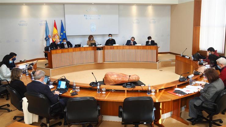 Comparecencia do conselleiro maior de Contas, José Antonio Redondo / Parlamento de Galicia.