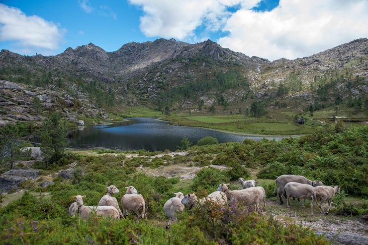 Imaxe do Parque Natural Baixa Limia-Serra do Xurés, obxecto de numerosos lumes / XUNTA - Arquivo