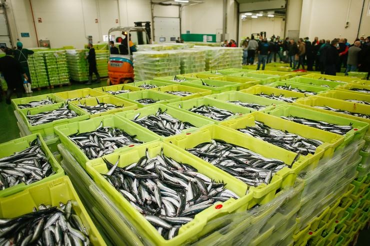 Arquivo - Caixas repletas de anchoas durante a campaña de pesca, a 26 de abril de 2021, no muella de Burela, Lugo, Galicia, (España). O bocarte ou anchoa de bo tamaño apareceu este ano entre Avilés e Burela, o que provocou unha concentración. Carlos Castro - Europa Press - Arquivo