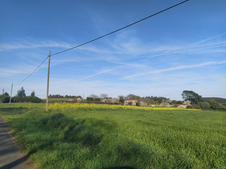 Parte da aldea de Lanzá, en Mesía, que se vería afectada polo proxecto eólico Brancellao 