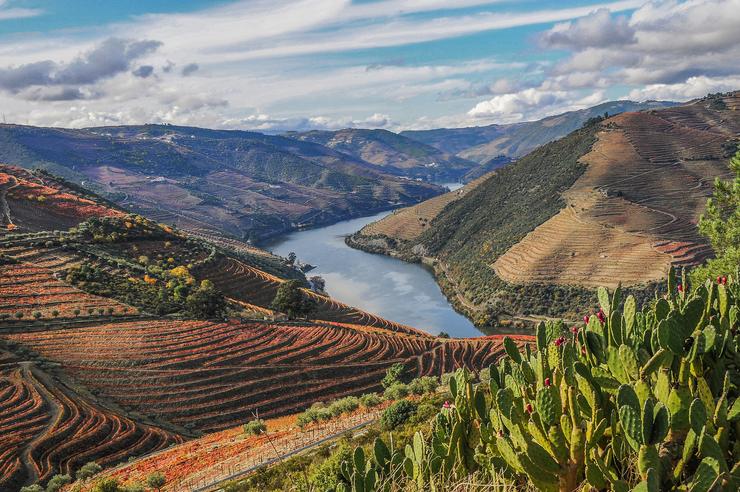 Valença do Douro 