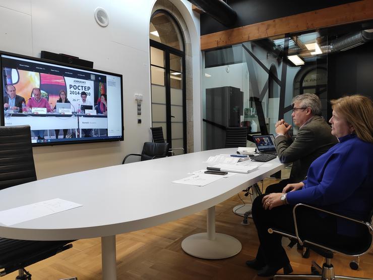 O director xeral de Defensa do Monte, Manuel Rodríguez, nunha videoconferencia celebrada no marco do 