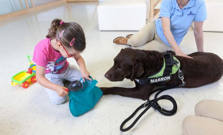 Programa terapéutico con animais. FUNDACIÓN MARÍA JOSÉ JOVE 