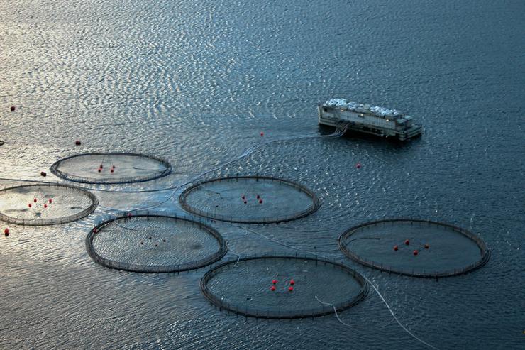 Maricultura aplicada ao salmón, nas Illas Feroe / Erik Christensen -Wikimedia.