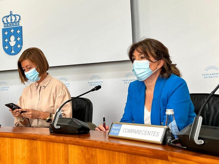 Mar Pereira, directora xeral da Amtega, na comisión parlamentaria 