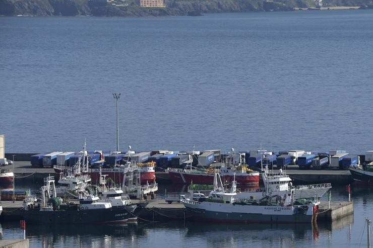 Barcos pesqueiros amarrados no porto da Coruña 