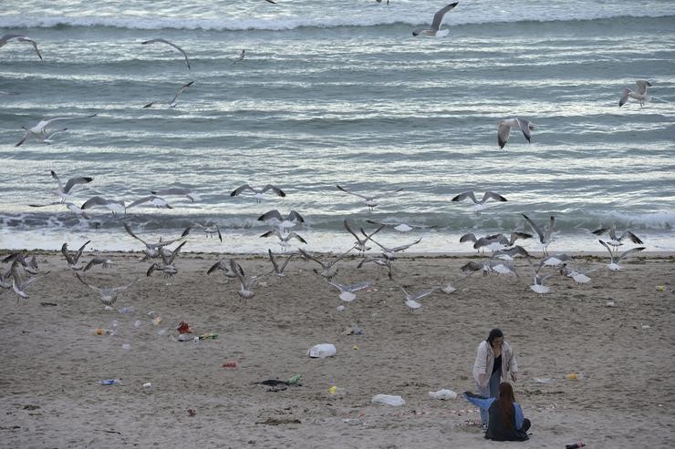 Vista dunha praia na Coruña tras a noite de San Juan.. M. Dylan - Europa Press / Europa Press