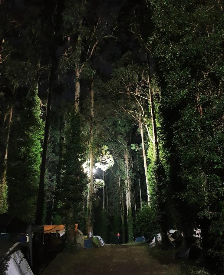 Imaxe nocturna na zona de acampada no Piñeiral de Morouzos (Foto: Guido Álvarez Parga)