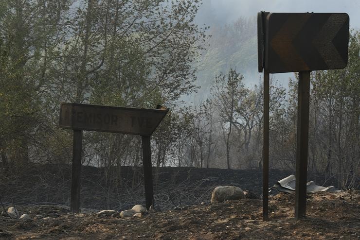 Zona vexetal afectada o incendio no Barco de Valdeorras, Ourense.. Rosa Veiga - Europa Press