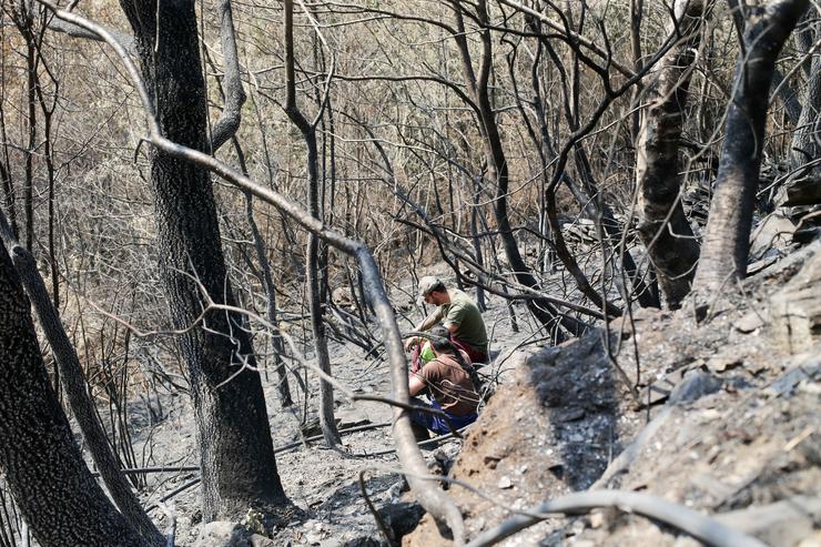 Voluntarios observan exhaustos os danos causados na Serra de Caurel tras o incendio forestal 