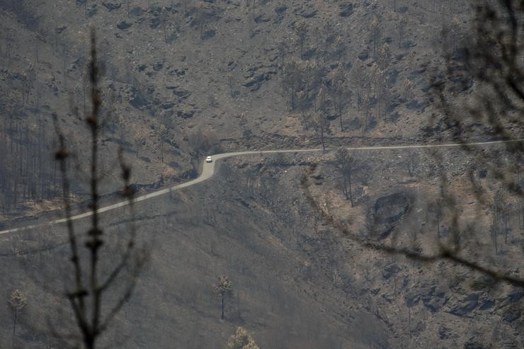 Paraxes devastados na Serra de Caurel tras o incendio, a 23 de xullo de 2022 / Carlos Castro - Europa Press / Europa Press