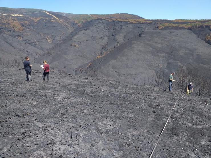 Técnicos do Centro de Investigación Forestal de Lourizán (Pontevedra) avalían os danos na Serra do Courel (Lugo) provocados polos incendios / Xunta de Galicia.