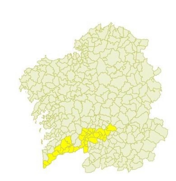 Aviso amarelo para este venres 8 de xullo de 2022 por altas temperaturas. METEOGALICIA / Europa Press