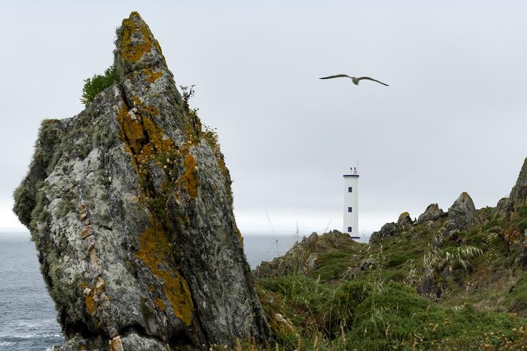 Un paxaro sobrevoa o Faro de Cabo Home, en Cangas 