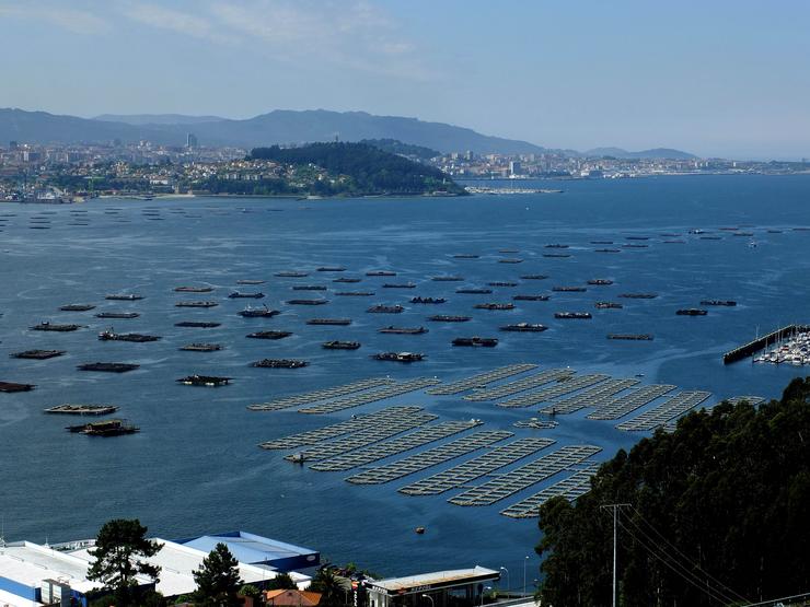 Bateas na ría de Vigo 