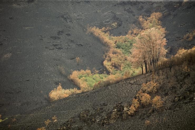 Terreno arrasado durante a vaga de lumes de 2022 