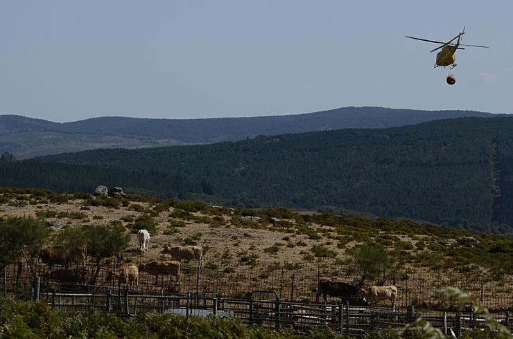 Un helicóptero que realiza labores de extinción no incendio forestal na Serra do Leboreiro, sobrevoa unha explotación gandeira, no parque natural de Baixa Limia e Serra do Xurés /  Rosa Veiga - Europa Press / Europa Press