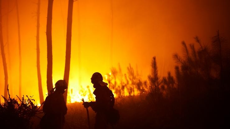 Dous bombeiros traballan no incendio, a 5 agosto de 2022, en Ou Vento, parroquia de Cea, na comarca de Salnes e o concello de Villagarcía de Arousa, Pontevedra, Galicia.. Gustavo da Paz - Europa Press / Europa Press