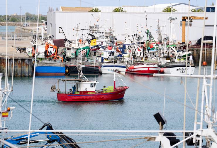 Barcos amarrados no porto / Juan Manuel Serrano Arce - Europa Press.