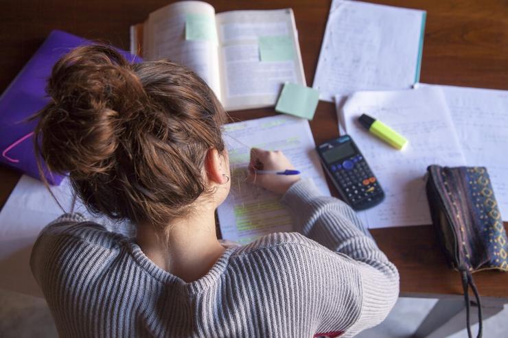 Unha moza estuda con libros de texto 