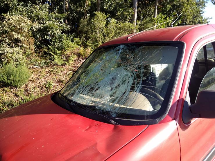 Así quedou o coche tras o atropelo 