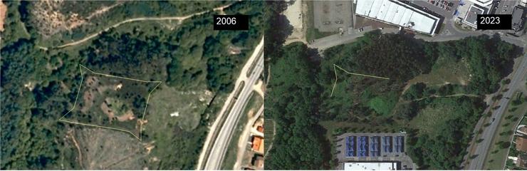 Un dos fortes danados pola construción dun parque empresarial en Salvaterra de Miño / Óscar Pazos
