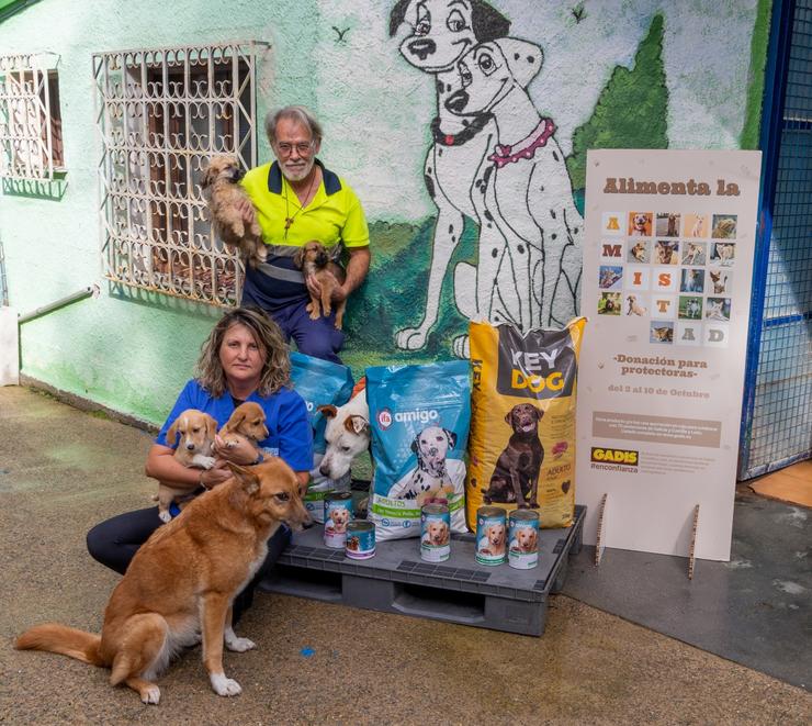 Gadis reparto alimentos entre as protectoras de animais