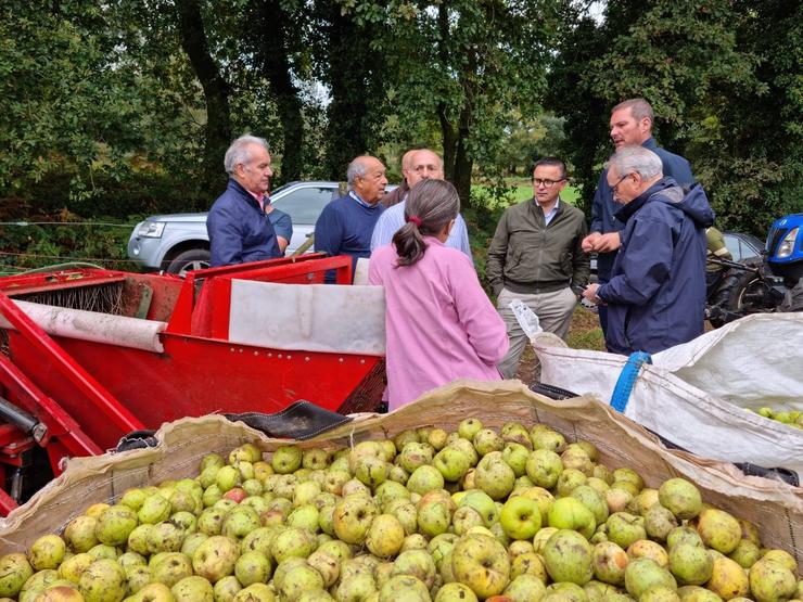 O conselleiro do Medio Rural, José González, visita unha explotación de mazá para sidra na Estrada 