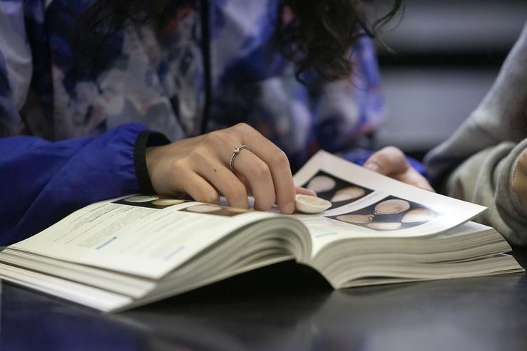 Estudante nunha clase de instituto 