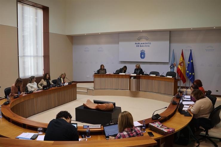 Comisión 5ª, de Sanidade, Política Social e Emprego do Parlamento de Galicia.. PARLAMENTO DE GALICIA 